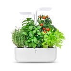 Véritable® Indoor Garden // Classic