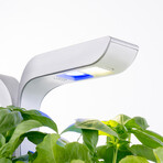 Véritable® Indoor Garden // Smart