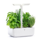 Véritable® Indoor Garden // Classic