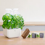 EXKY® Indoor Garden // Classic