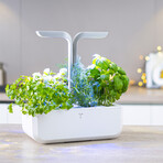 Véritable® Indoor Garden // Smart