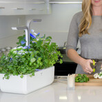 Véritable® Indoor Garden // Smart