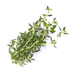 Traditional Herb Lingots® // Set of 4