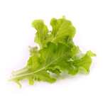 Lettuce Lingots® // Set of 4