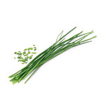 Traditional Herb Lingots® // Set of 4