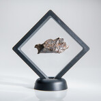Genuine Natural Sikhote Alin Meteorite // 51.4g
