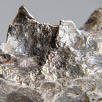 Genuine Natural Sikhote Alin Meteorite // 70.9g