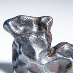 Genuine Natural Sikhote Alin Meteorite in Display Case // Medium