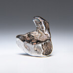 Genuine Natural Sikhote Alin Meteorite in Display Case // Small
