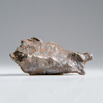 Genuine Natural Sikhote Alin Meteorite // 51.4g