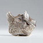 Genuine Natural Sikhote Alin Meteorite // 70.9g