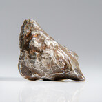 Genuine Natural Sikhote Alin Meteorite // 77.3g