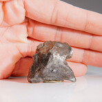Genuine Natural Sikhote Alin Meteorite // 68.3g