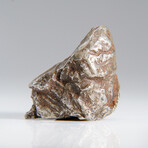 Genuine Natural Sikhote Alin Meteorite // 77.3g