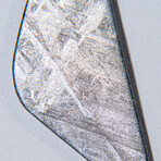 Genuine Natural Muonionalusta Meteorite Pendant with 18" Sterling Silver Chain // 5.6g