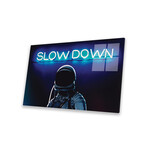 Slown Down Print on Acrylic Glass // Seamless (24"W x 16"H x 0.25"D)