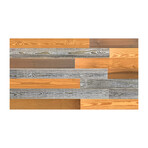 Gold/Brown/Gray Mixed Colors Wood Wall Planks V3 (6 Planks // 10 sq. feet area)