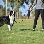 Easy Ride Rotating Bike Leash