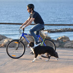 Easy Ride Rotating Bike Leash