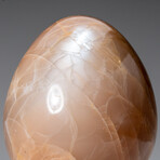 Genuine Polished Peach Moonstone 2.5" Egg With Acrylic Display Stand