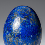 Genuine Polished Lapis Lazuli 2" Egg With Acrylic Display Stand