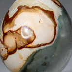 Genuine Polished Polychrome 3.5" Egg  With Acrylic Display Stand // 1.3lb