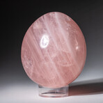 Genuine Polished Rose Quartz 2.75" Egg With Acrylic Display Stand