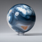 Genuine Polished Blue Orca 2" Sphere With Acrylic Display Stand