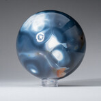 Genuine Polished Blue Orca 2" Sphere With Acrylic Display Stand