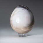 Genuine Polished Petrified Wood 4" Egg With Acrylic Display Stand