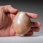 Genuine Polished Peach Moonstone 2.5" Egg With Acrylic Display Stand