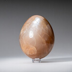 Genuine Polished Peach Moonstone 2.5" Egg With Acrylic Display Stand