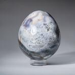 Genuine Polished Ocean Jasper 3" Egg With Acrylic Display Stand