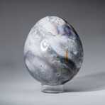 Genuine Polished Ocean Jasper 3" Egg With Acrylic Display Stand