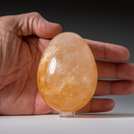 Genuine Polished Lemon Quartz 3" Egg With Acrylic Display Stand