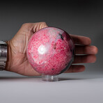 Genuine Polished Imperial Rhodonite 3" Sphere  With Acrylic Display Stand // 2.9lb