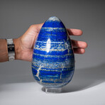 Genuine Polished Lapis Lazuli Egg With Acrylic Display Stand // 7.9lb