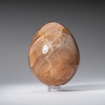 Genuine Polished Peach Moonstone 2.5" Egg With Acrylic Display Stand