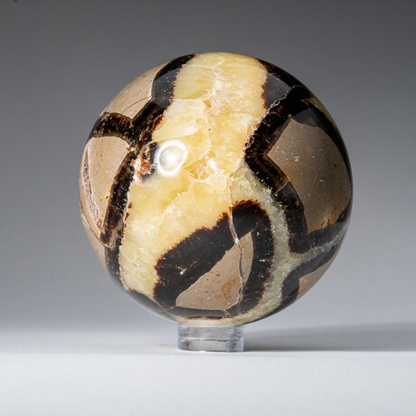 Genuine Polished Septarian 2" Sphere With Acrylic Display Stand