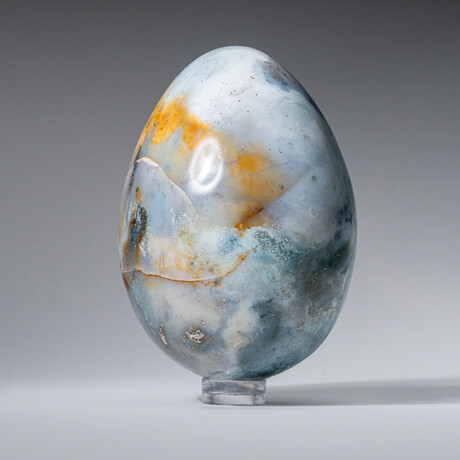 Genuine Polished Ocean Jasper 3" Egg With Acrylic Display Stand // 370g