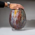 Huge Genuine Polished Ocean Jasper Egg With Acrylic Display Stand