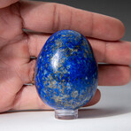 Genuine Polished Lapis Lazuli 2" Egg With Acrylic Display Stand