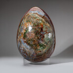 Huge Genuine Polished Ocean Jasper Egg With Acrylic Display Stand