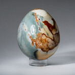 Genuine Polished Polychrome 3.5" Egg  With Acrylic Display Stand // 1.3lb