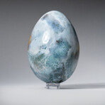 Genuine Polished Ocean Jasper 3" Egg With Acrylic Display Stand // 370g