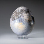 Genuine Polished Ocean Jasper 4" Egg With Acrylic Display Stand