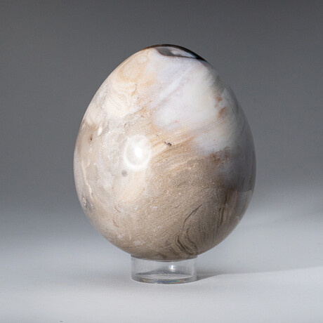 Genuine Polished Petrified Wood 4" Egg With Acrylic Display Stand