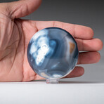 Genuine Polished Blue Orca 2" Sphere With Acrylic Display Stand