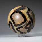 Genuine Polished Septarian 2" Sphere With Acrylic Display Stand