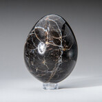 Genuine Polished Black Moonstone 2.25" Egg With Acrylic Display Stand